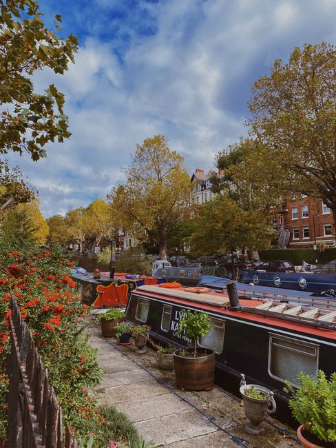 A scenic view of a canal in Maida Vale with clear blue skies and scattered white clouds overhead. On the left side, white residential buildings with multiple windows are partially visible behind lush 
